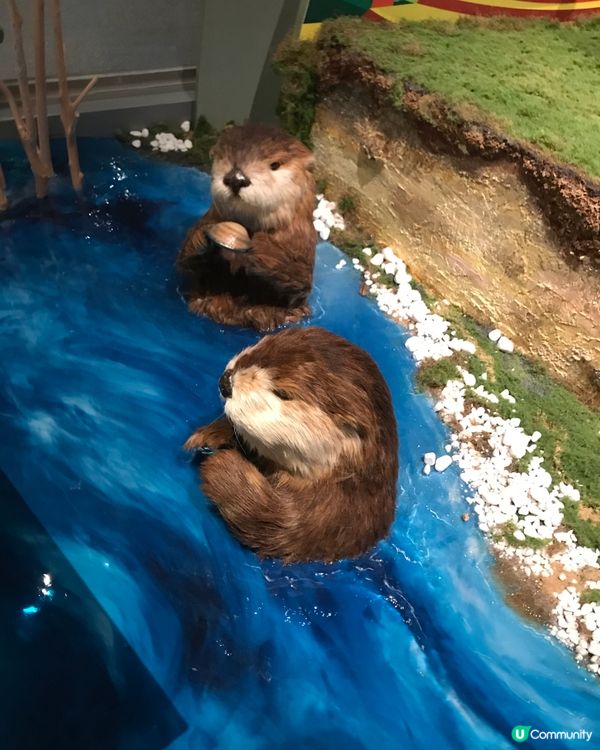 香港科學館：科學節2025