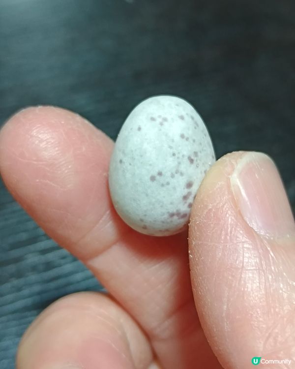 每逢復活節都出現嘅吉百利朱古力蛋