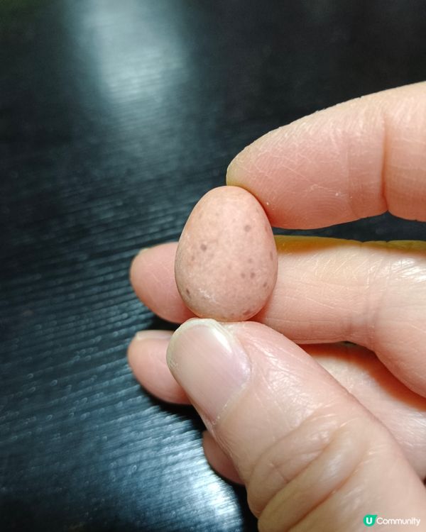 每逢復活節都出現嘅吉百利朱古力蛋