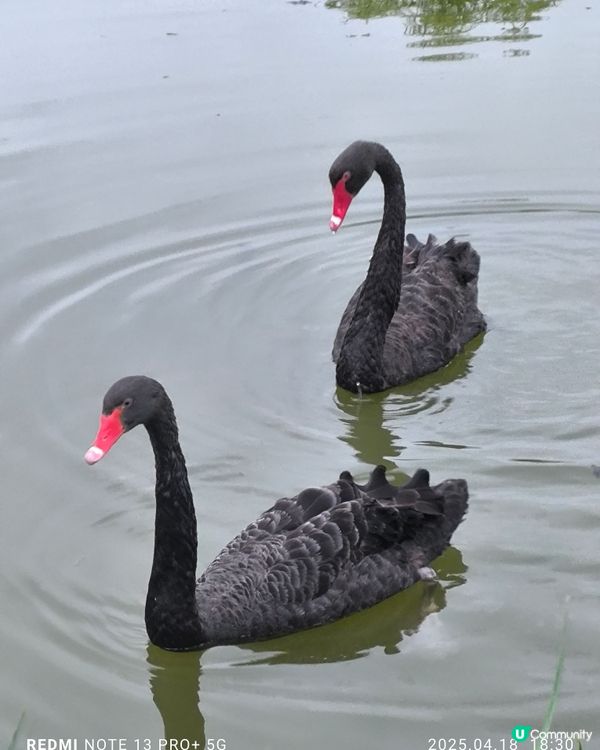 深圳龍崗大運中心