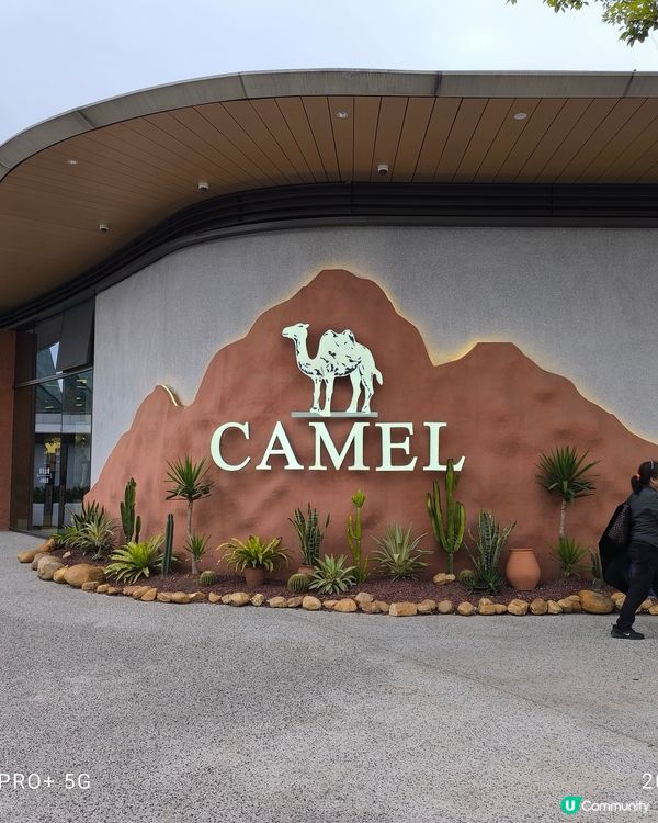 深圳龍崗大運中心