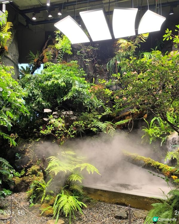 深圳龍崗大運中心