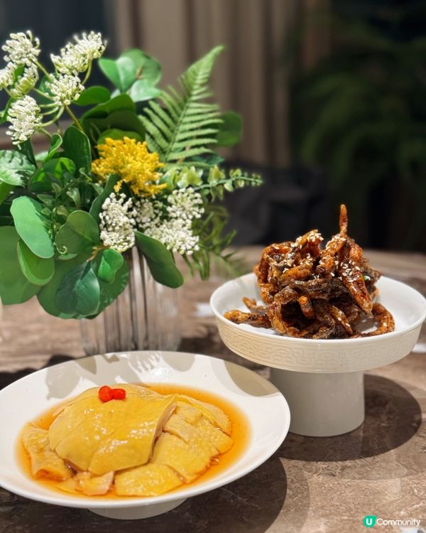 高質中菜餐廳😍超級有驚喜!!!