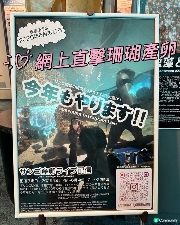 5月尾可網上直擊沖繩美麗海水族館珊瑚產卵🪸