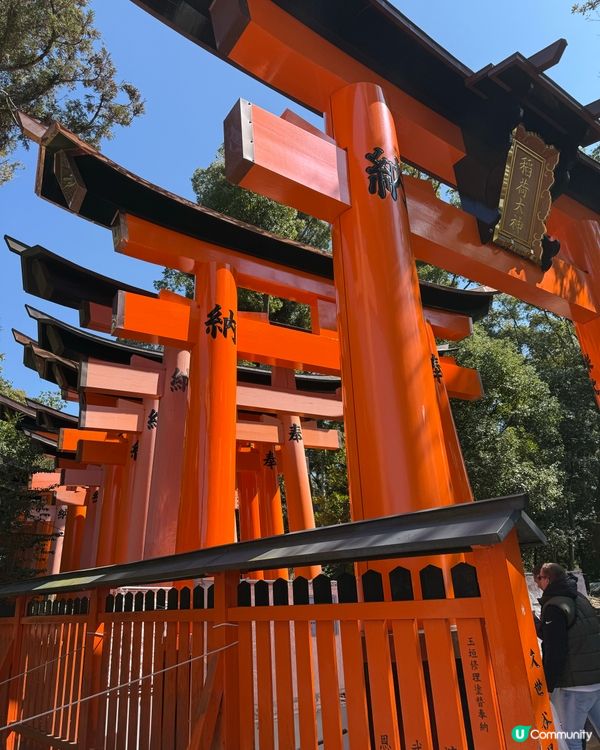 ## 京都伏見稻荷大社⛩️靚到爆！