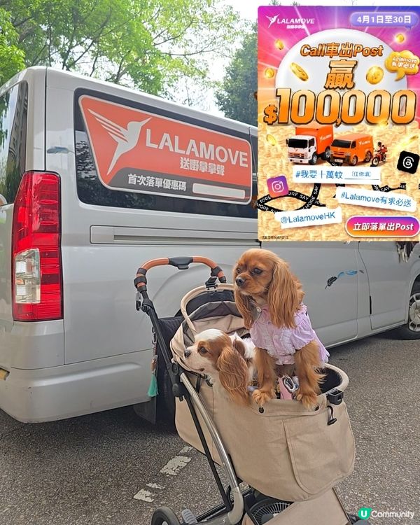 lalamove call車出post贏十萬