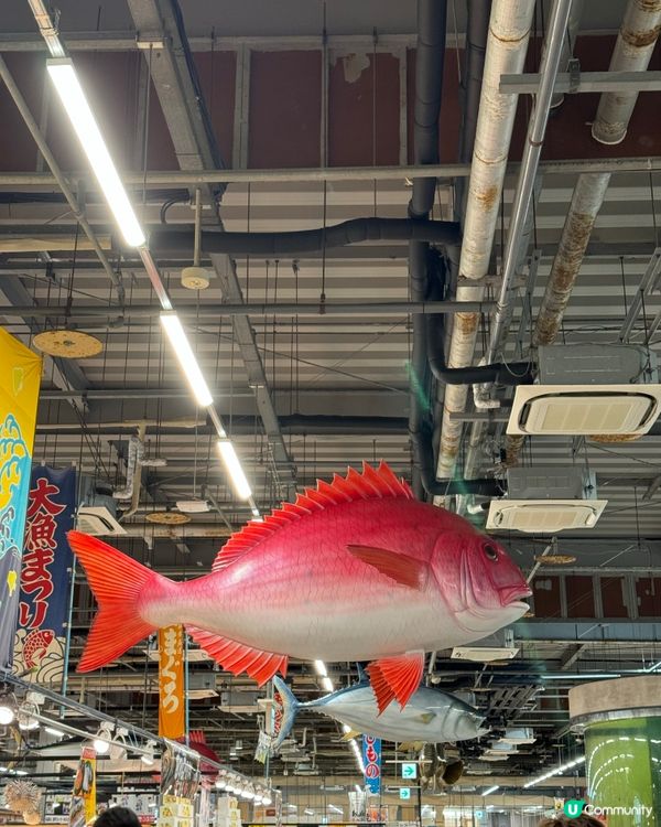 關西之旅✈️🚅第六日（最終回～～）