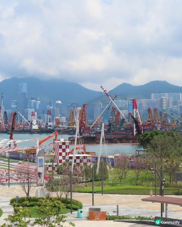 跟住Travel Buddy本地遊 - 九龍城至啟德