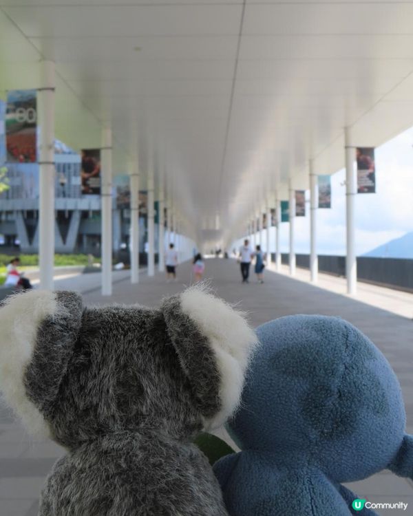 跟住Travel Buddy本地遊 - 九龍城至啟德