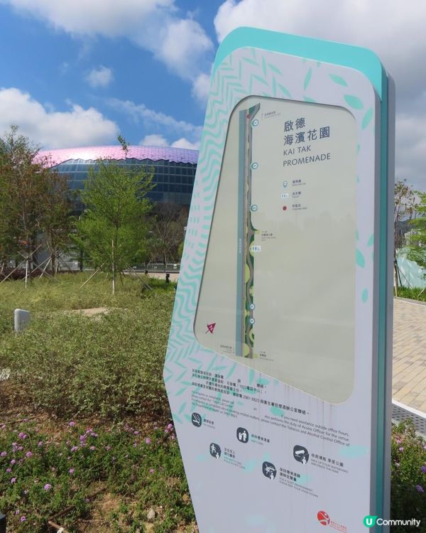 跟住Travel Buddy本地遊 - 九龍城至啟德