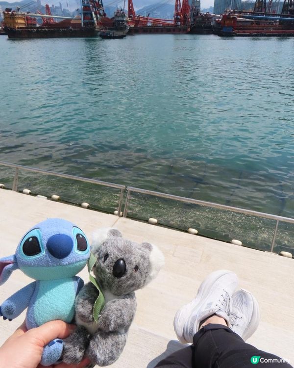 跟住Travel Buddy本地遊 - 九龍城至啟德