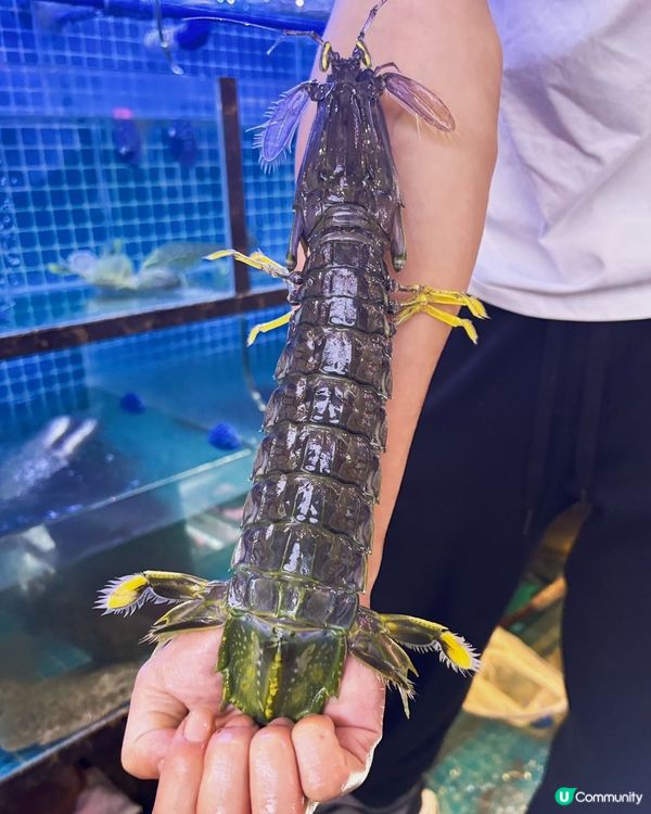 深圳高質海鮮大排檔 🦀  旺吉利  🔥