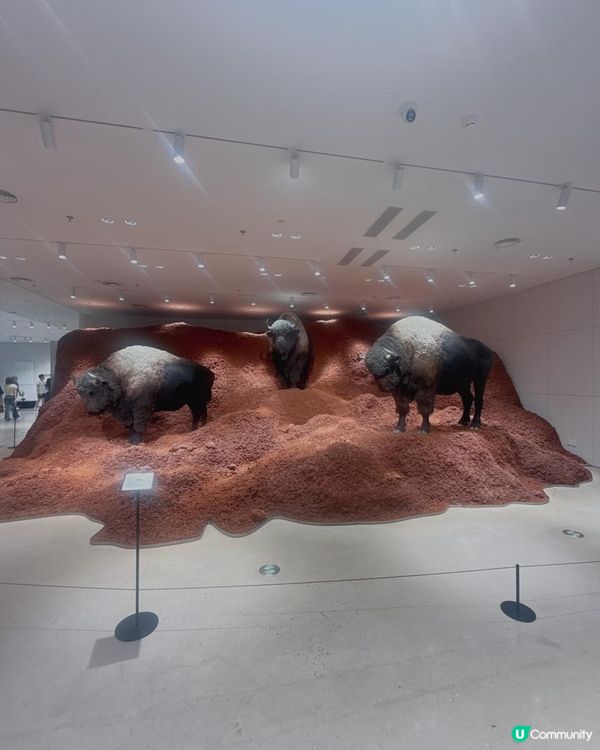 深圳爆紅南山巨人展