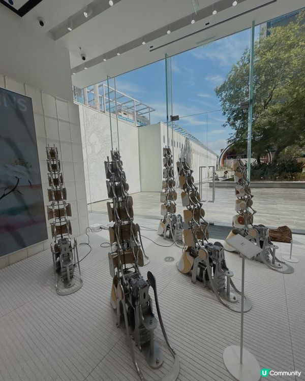 深圳爆紅南山巨人展