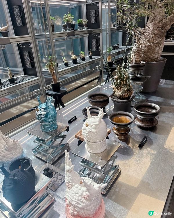 深圳爆紅南山巨人展