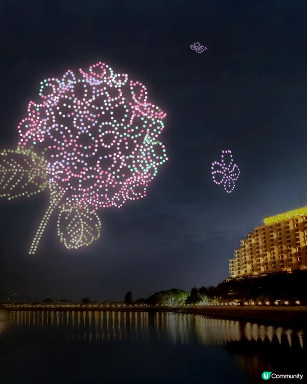 #免費接送🚌 黃金海岸🪻繡球花節 #無人機表演