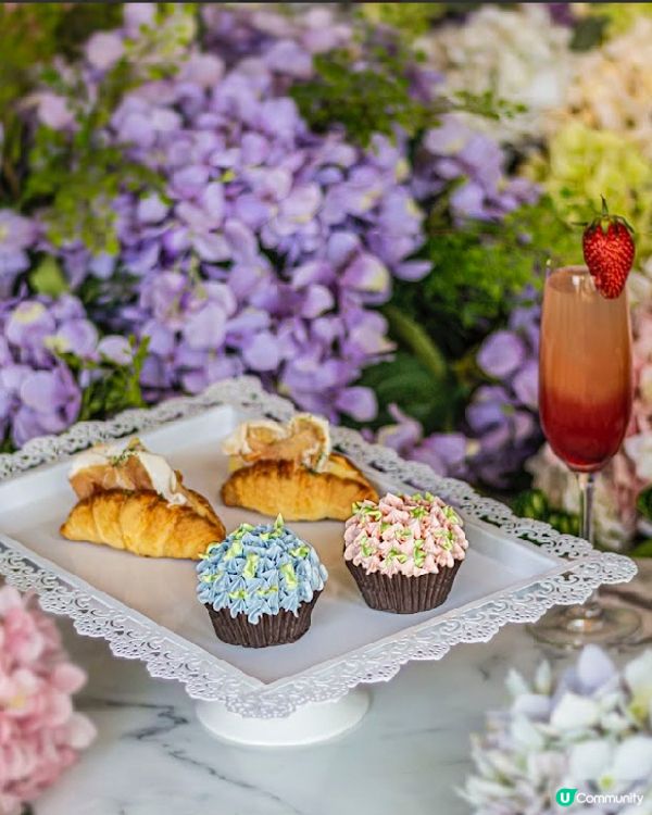 #免費接送🚌 黃金海岸🪻繡球花節 #無人機表演