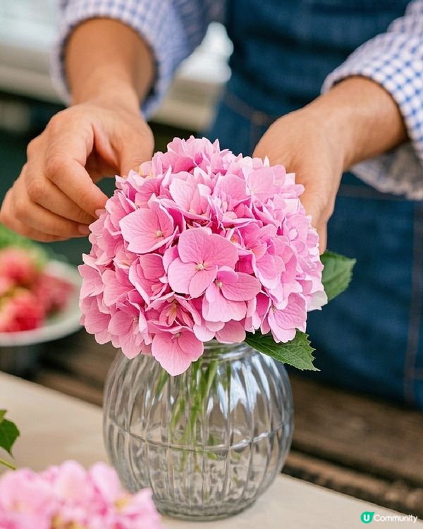 #免費接送🚌 黃金海岸🪻繡球花節 #無人機表演