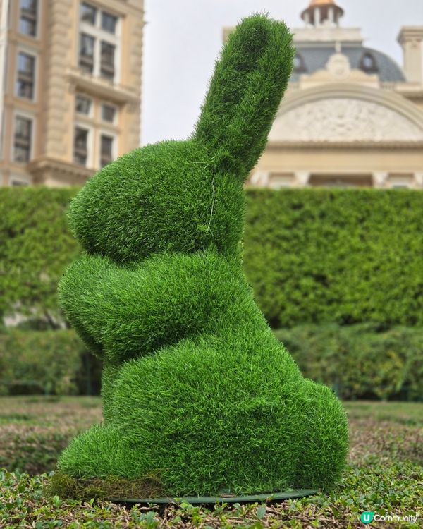 適合一家大細既酒店