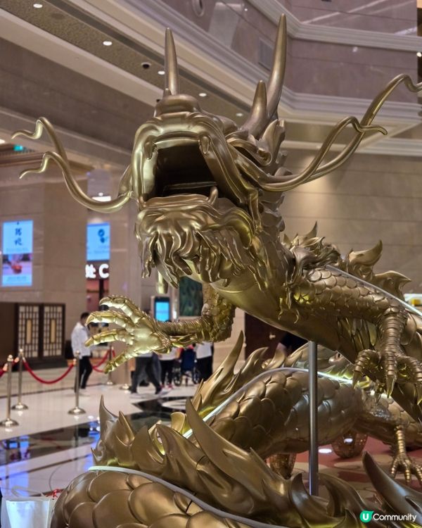 適合一家大細既酒店