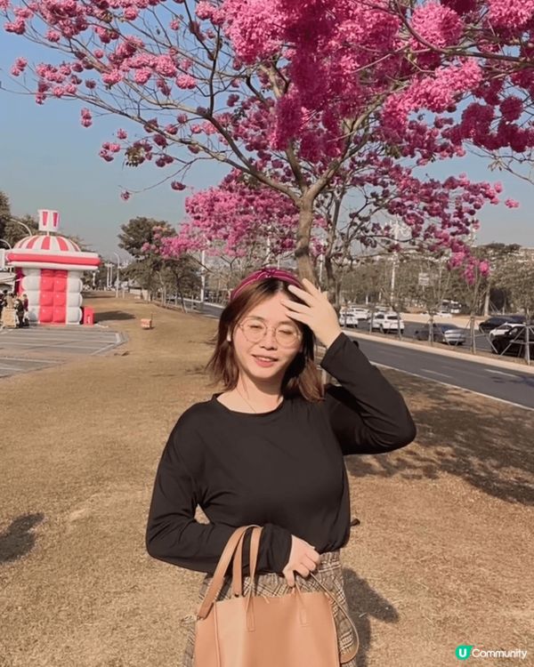 之前同屋企人去咗位於深圳南山區嘅深圳灣公園，前往方法非常簡單...