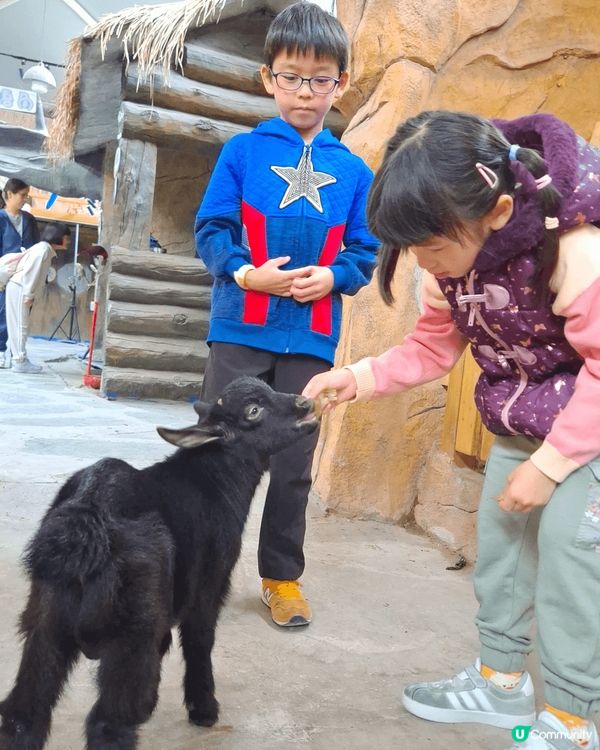 今次返深圳最開心嘅就係小朋友們。係深圳大型商場寶安海雅繽紛城...