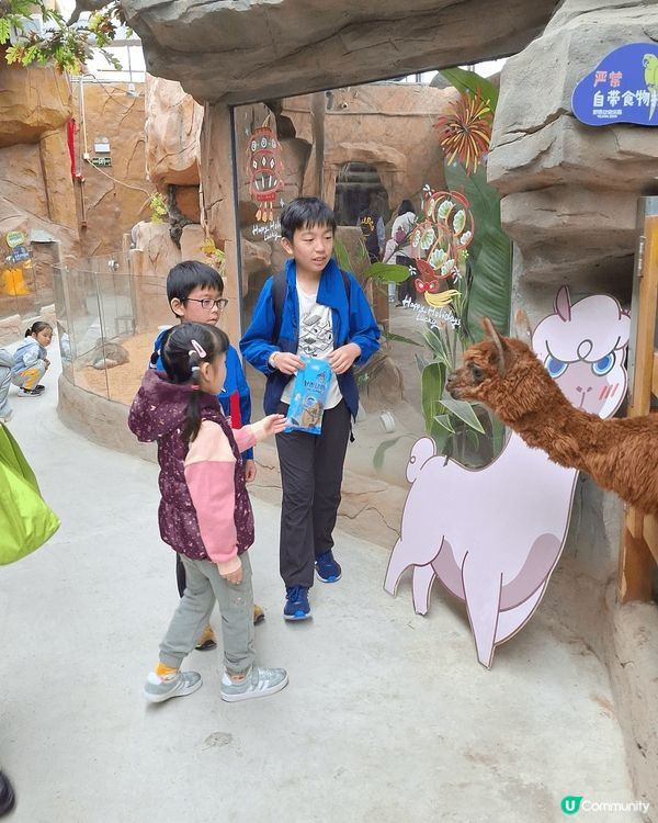 今次返深圳最開心嘅就係小朋友們。係深圳大型商場寶安海雅繽紛城...