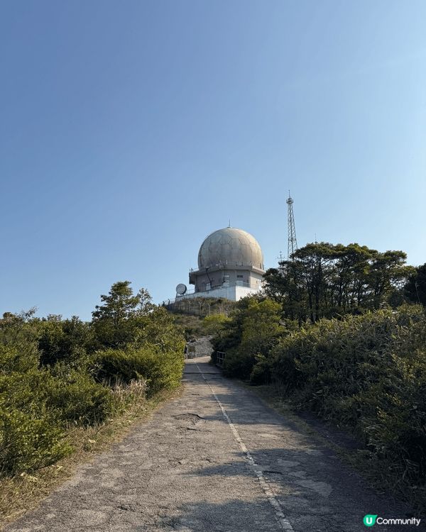 大帽山是香港最高的山峰，高達957公尺，沿途可以打卡芒草美景...
