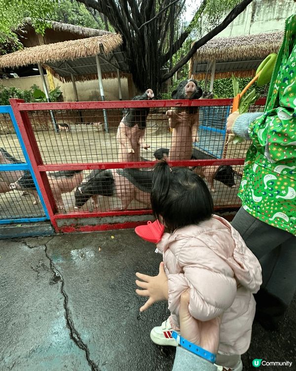 深圳野生動物園