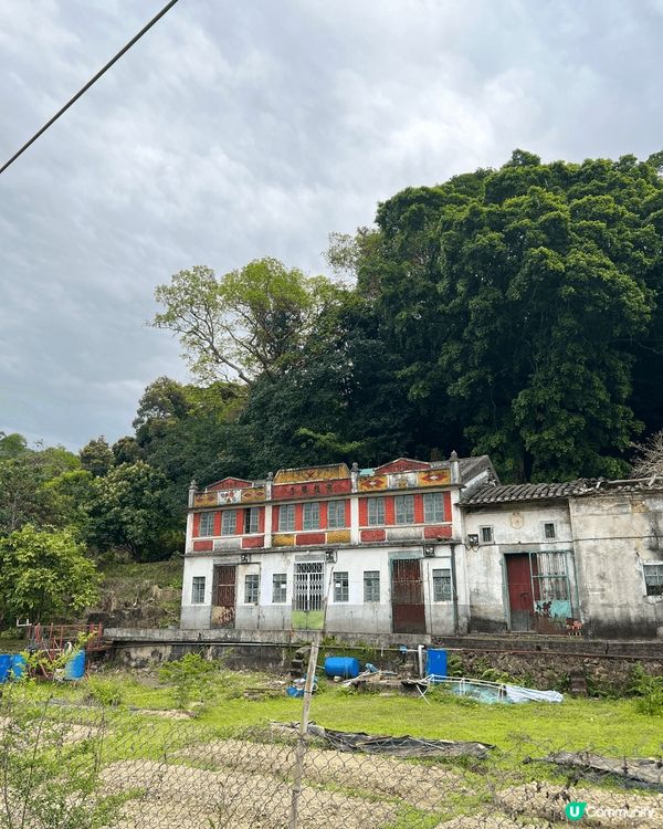 鹿頸，雞谷樹下，老圍村，郊遊新娘潭等