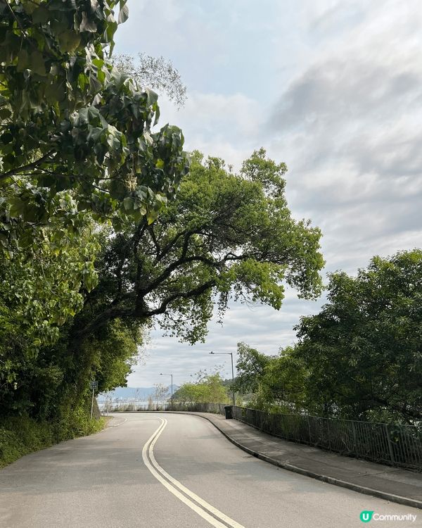 鹿頸，雞谷樹下，老圍村，郊遊新娘潭等