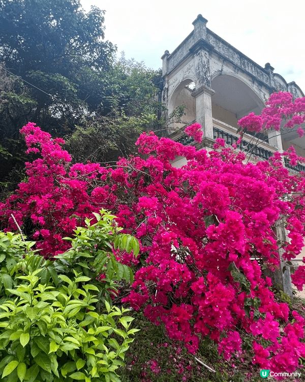 鹿頸，雞谷樹下，老圍村，郊遊新娘潭等