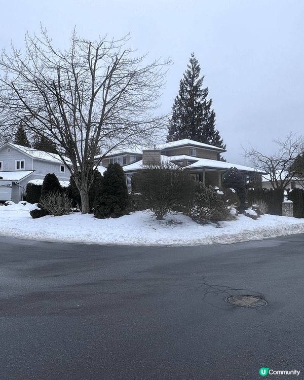 溫哥華，非常適合旅行嘅地方，舒服嘢食又好味，同埋唔算貴，希望...