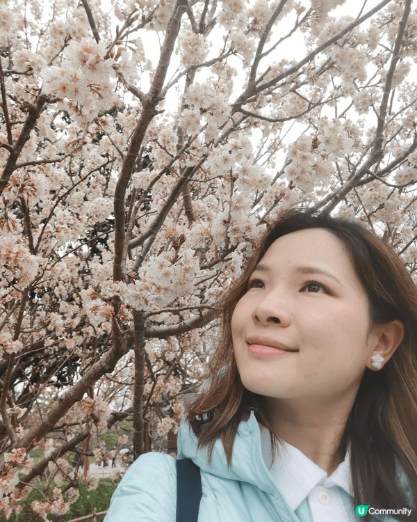 揚州之旅 ：煙雨濛濛的早上令整個瘦西湖看起來更有意境，多謝途...