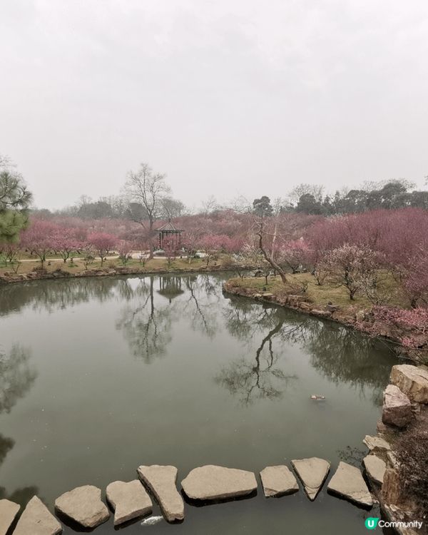 揚州之旅 ：煙雨濛濛的早上令整個瘦西湖看起來更有意境，多謝途...