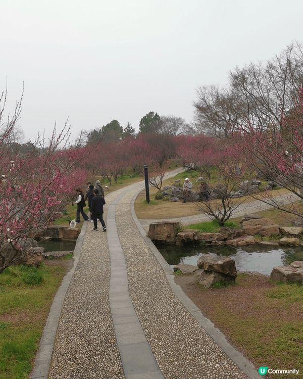 揚州之旅 ：煙雨濛濛的早上令整個瘦西湖看起來更有意境，多謝途...