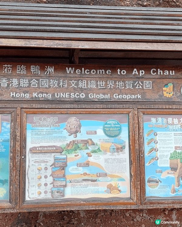 鴨洲，沿途風景很美
