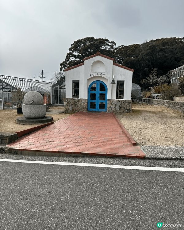 這個是高松小豆島的橄欖樹公園，就是魔女宅急便那個。入面好多地...