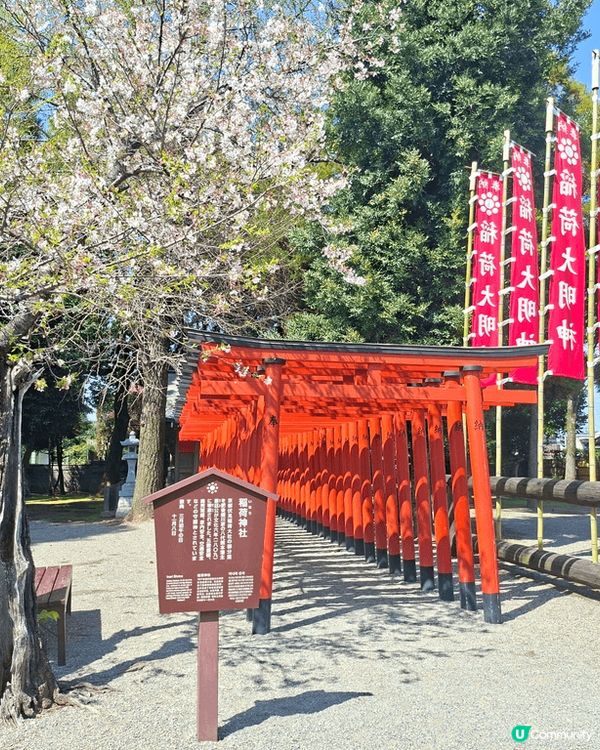 出水神社是位於熊本水前寺成趣園內的神社，需要400円入埸費。...