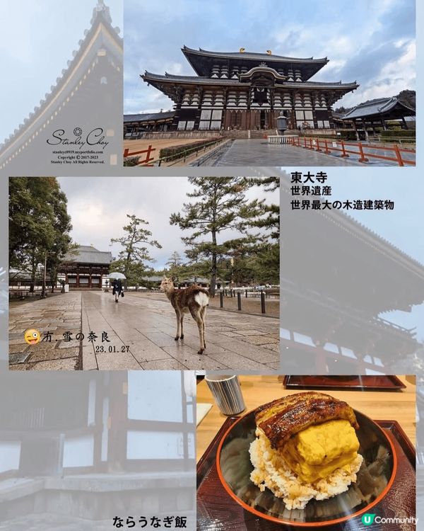 日本真係百去不厭
