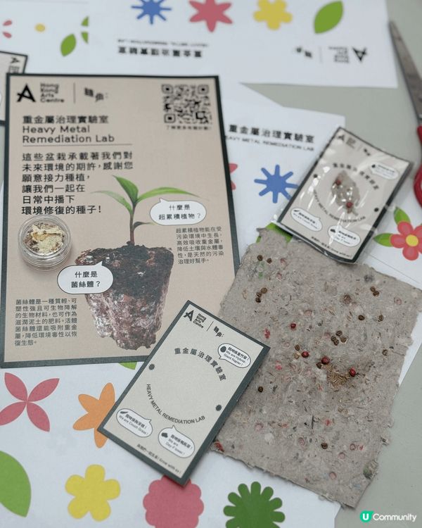 好開心，剛剛參觀咗由香港藝術中心搞嘅「轉角:」公共同社區藝術...