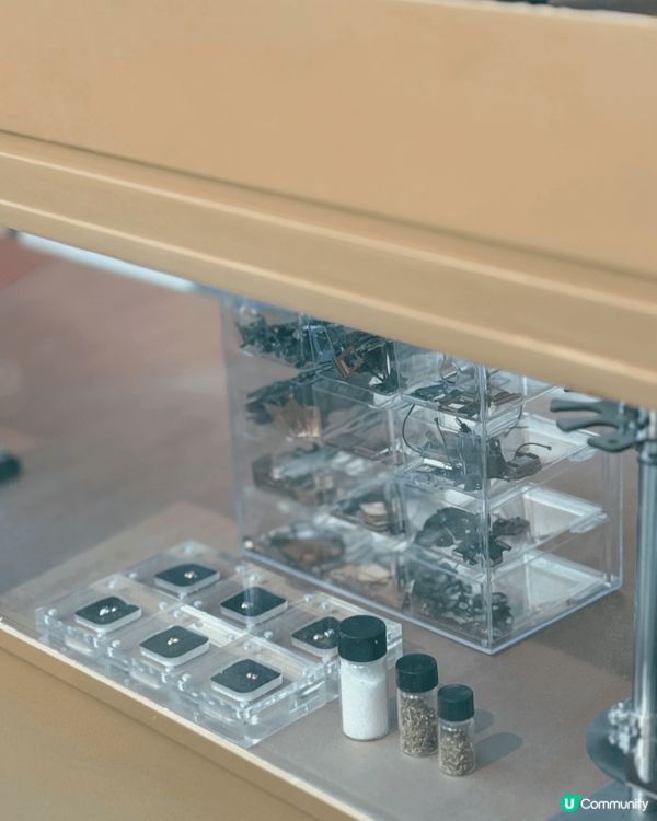 好開心，剛剛參觀咗由香港藝術中心搞嘅「轉角:」公共同社區藝術...