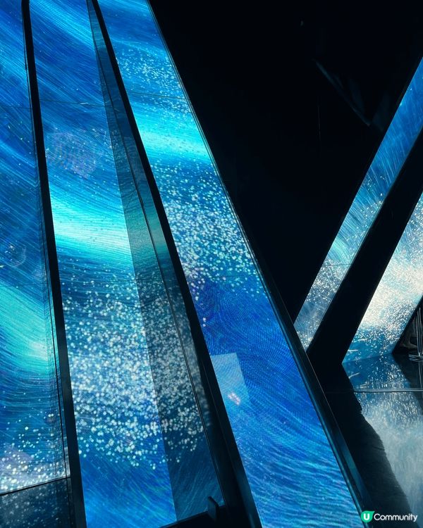 墨爾本暴走3大打卡點！塗鴉街×TeamLab光影秘境