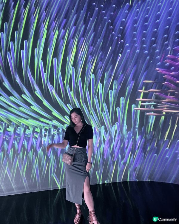 墨爾本暴走3大打卡點！塗鴉街×TeamLab光影秘境