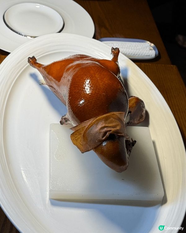 前海浙菜的天花板的極緻，CP值超高,性價比高，星級廚師⭐️藝...