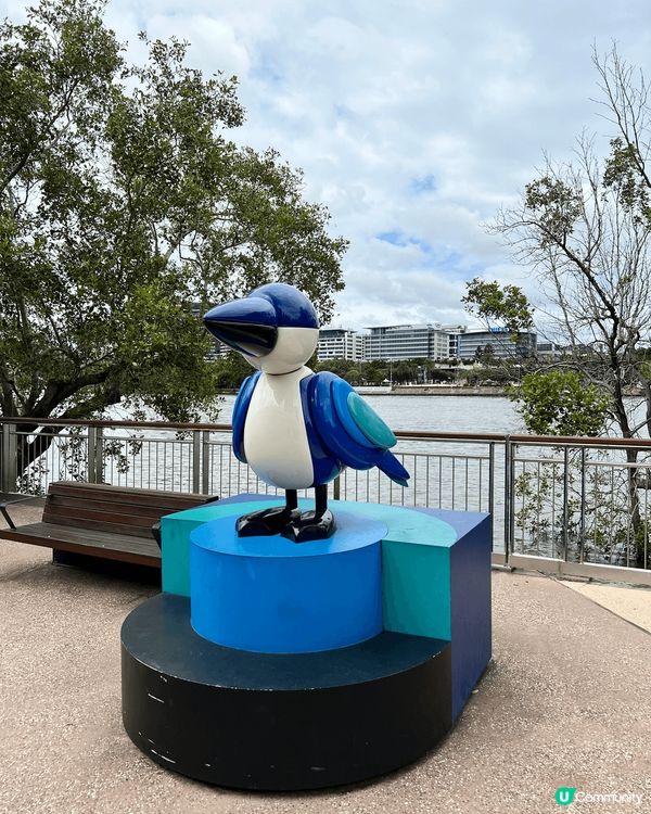 布里斯本 city botanic garden