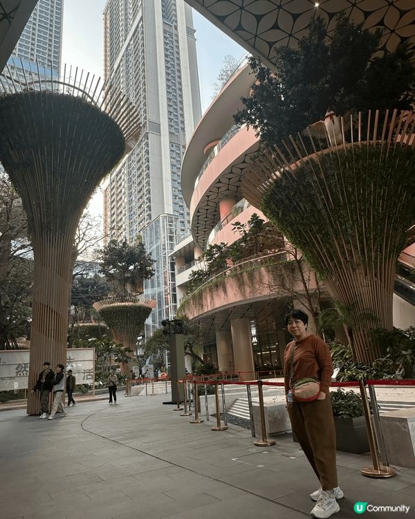 白川鄉雪景， 名古屋溫室Cafe, 深圳板田萬科廣場