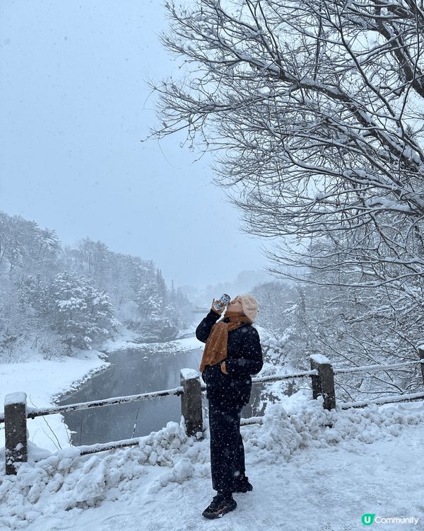 白川鄉雪景， 名古屋溫室Cafe, 深圳板田萬科廣場