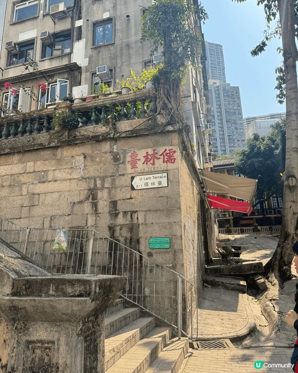 兩三個星期前，趁香港黃花風鈴木盛開，去咗上環打卡😆