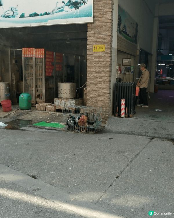 中國CN广東省惠州市惠東县2-1單完03鋪，重有咁原始的雞檔...